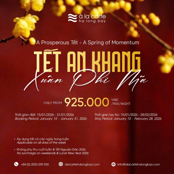 TẾT AN KHANG – XUÂN PHI MÃ